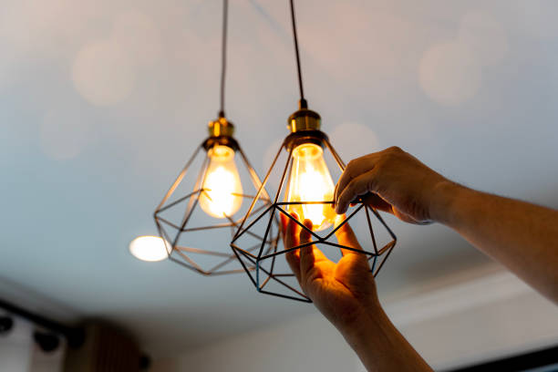 Best Outdoor Lighting Installation  in Paramount Long Meadow, MD